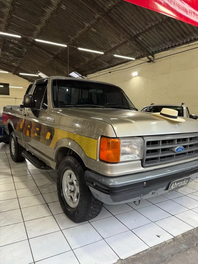 Carro Ford F-1000 1994 F1000 Super Serie Turbo 4x2 3.9 (Cab Simples)