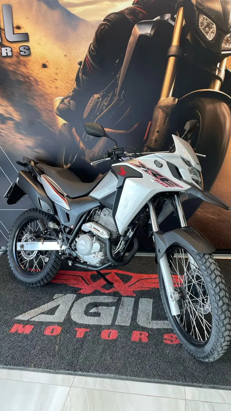 Honda XRE 300 (ABS) (Flex)