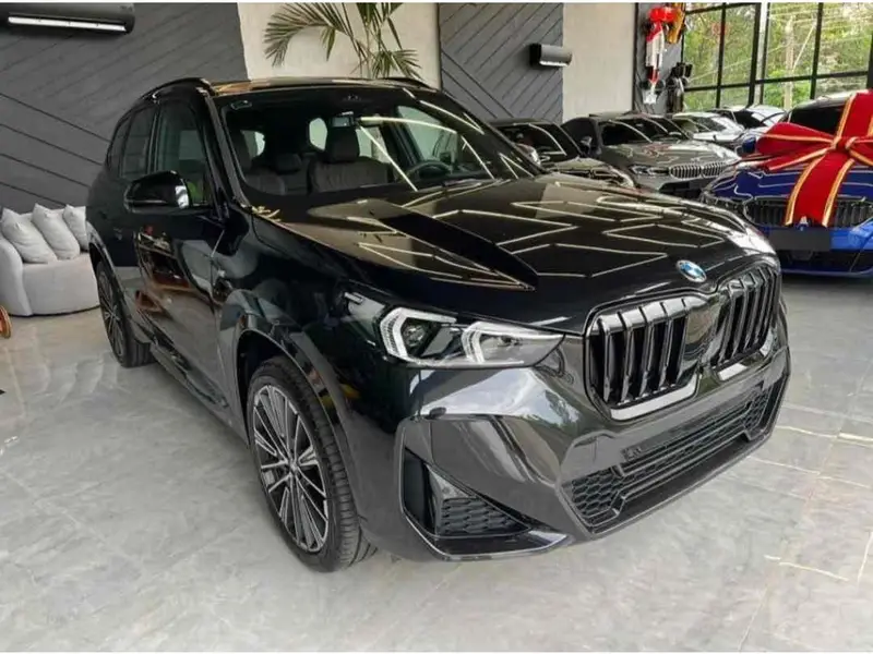 BMW X1 sDrive20i M Sport 2.0 Turbo (Aut.) (Híb.)