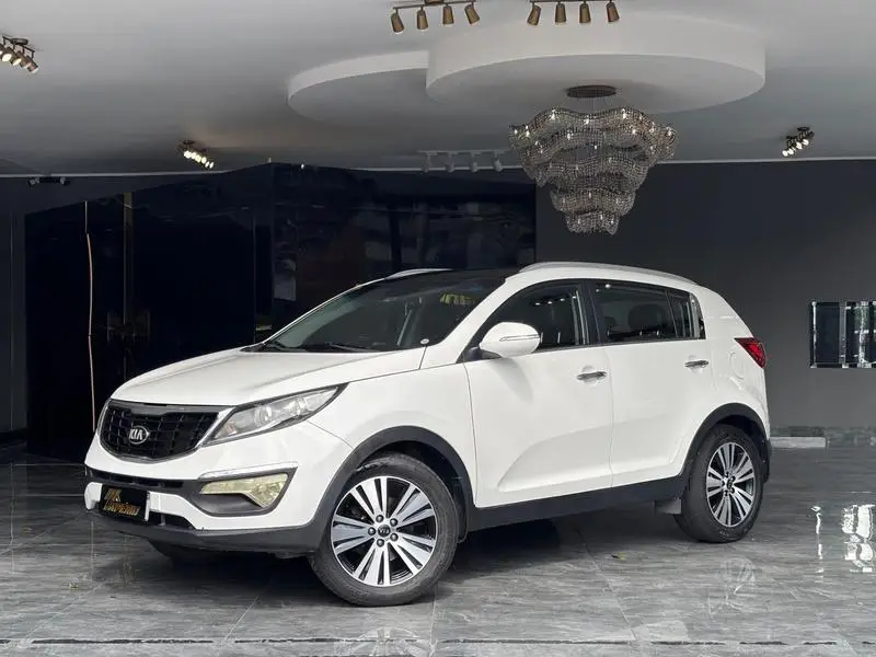 Kia Sportage EX 2.0 (Flex) (Aut) P584