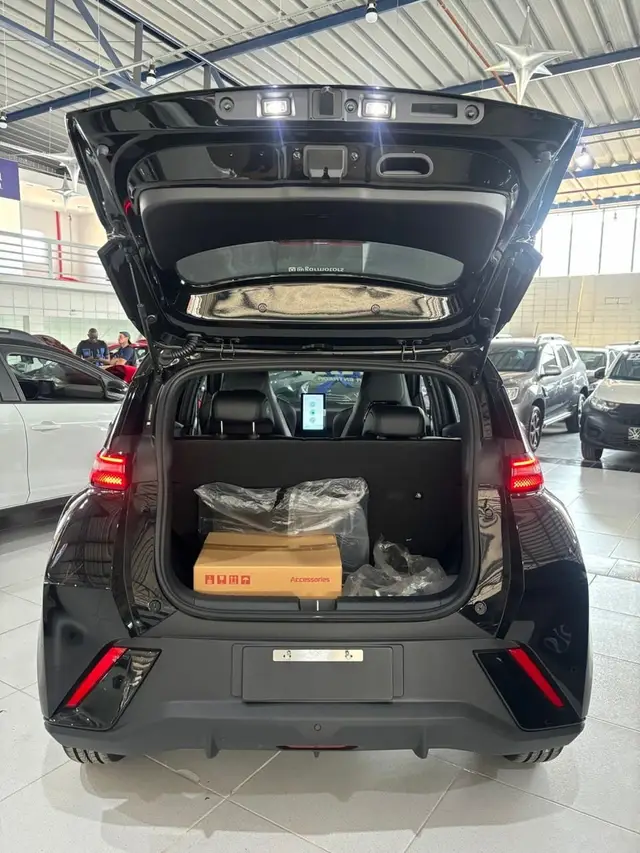 Carro BYD Dolphin Mini 2025 EV