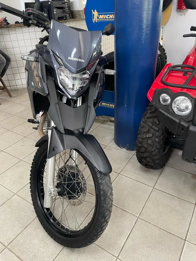 Honda XRE 300 (ABS) (Flex)