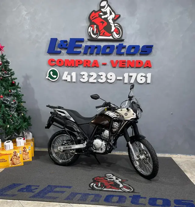 Carro Yamaha XTZ 250 Ténéré 2017 Blueflex