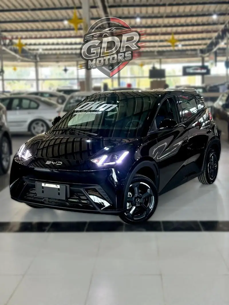 BYD Dolphin Mini EV