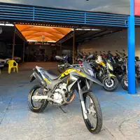 Honda XRE 300 (ABS) (Flex)