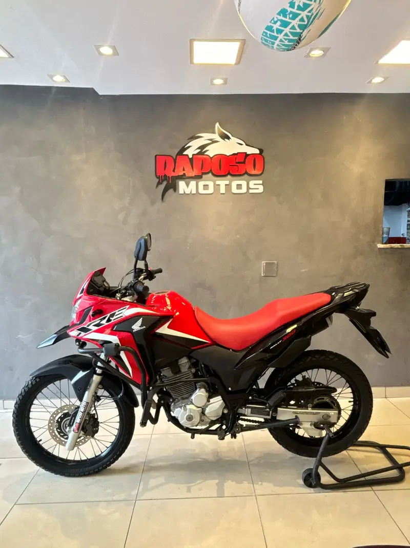 Honda XRE 300 (ABS) (Flex)