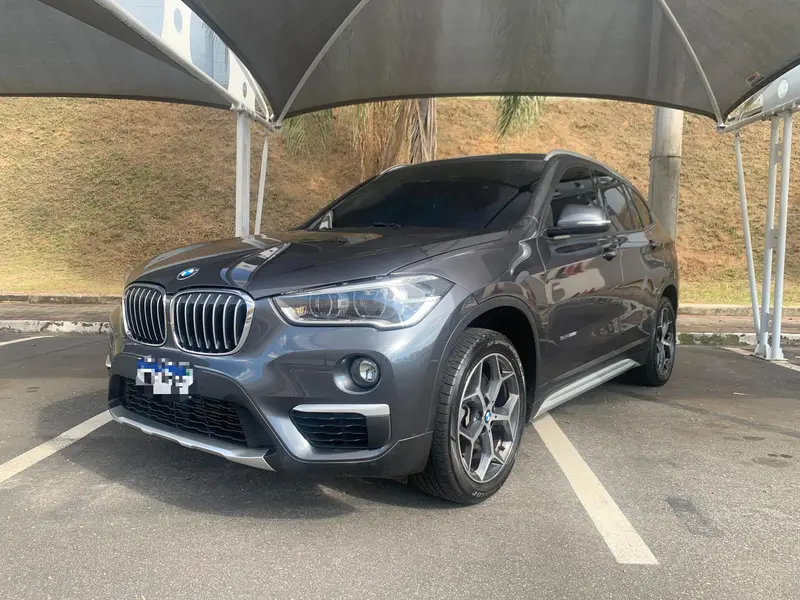 BMW 2.0 sDrive20i GP ActiveFlex