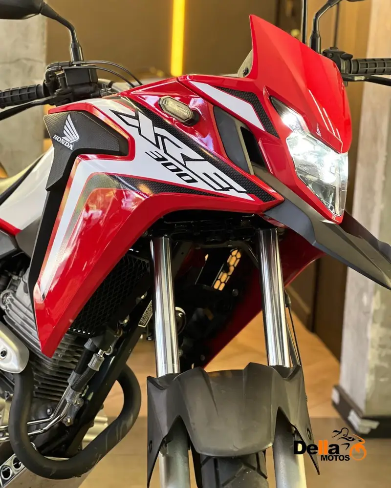 Honda XRE 300 (ABS) (Flex)