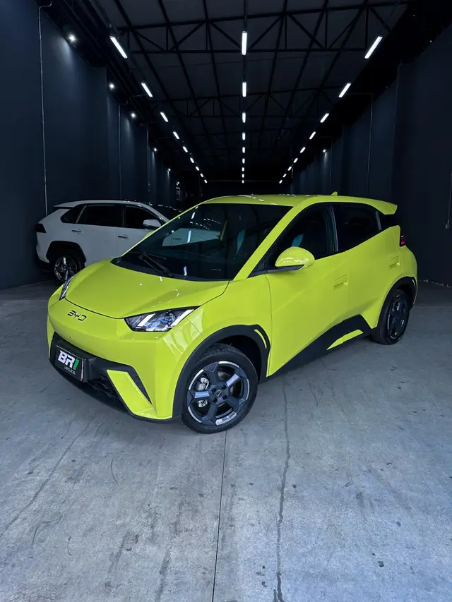 Carro BYD Dolphin 2025 EV
