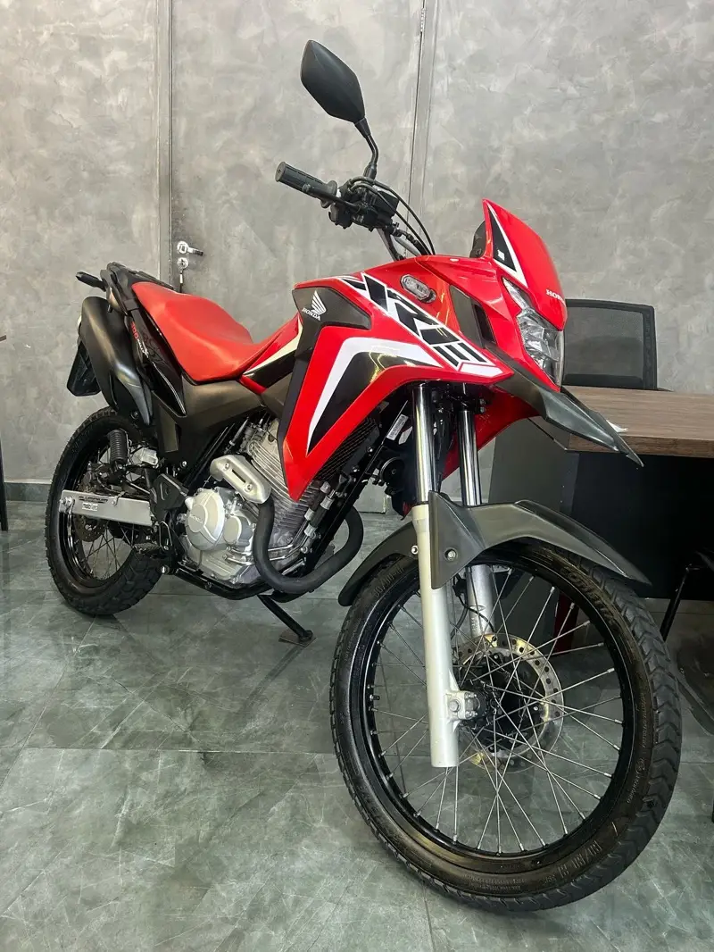 Honda XRE 300 (ABS) (Flex)