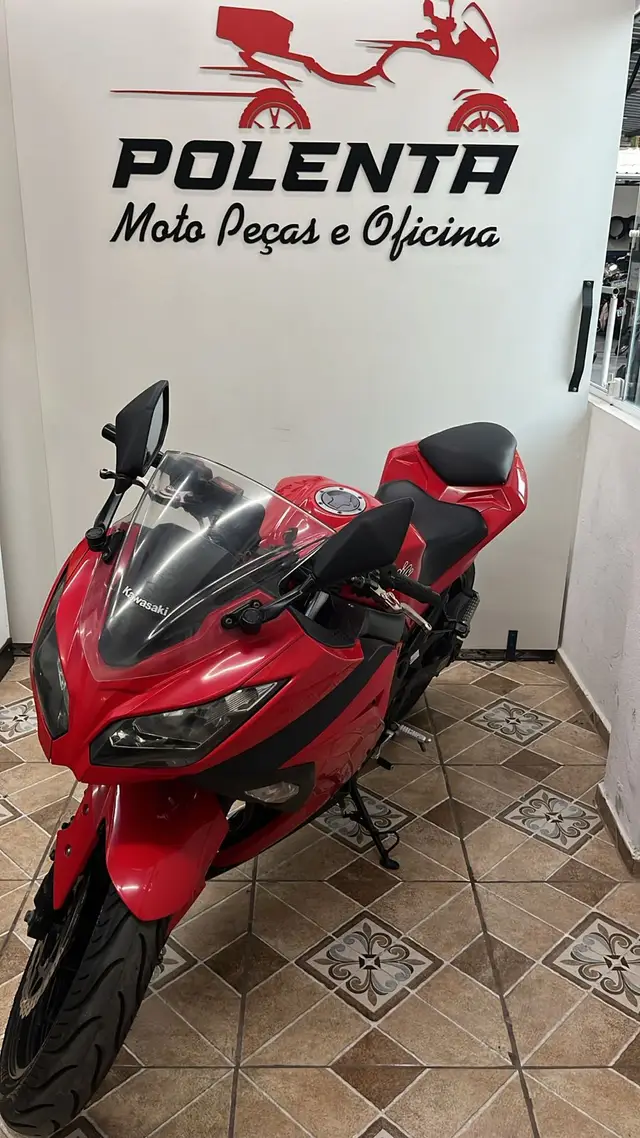 Carro Kawasaki Ninja 2014 300 (ABS)