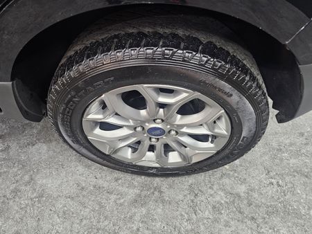 EcoSport Ecosport Freestyle Powershift 2.0 16V (Flex)