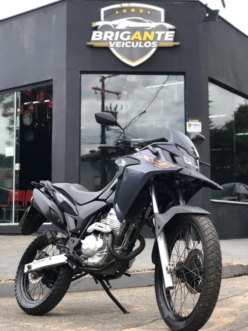 Honda XRE 300 (ABS) (Flex)