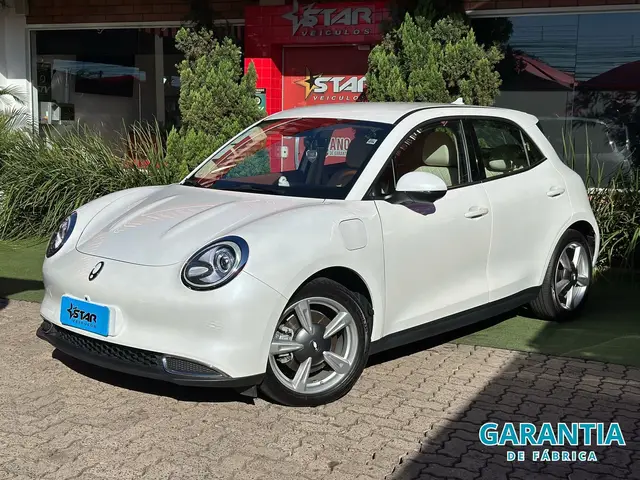 Carro GWM Ora 03 2024 Skin (Elétrico)