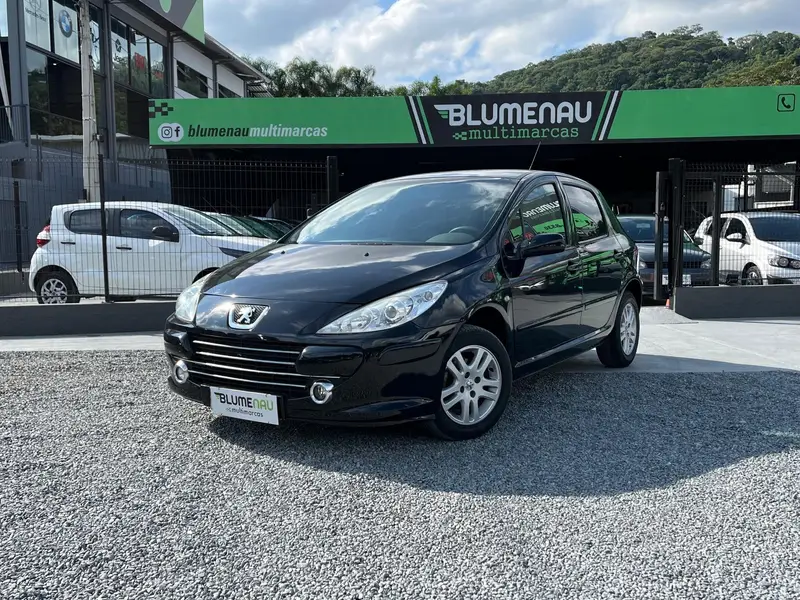 Peugeot 307 Hatch. Presence 1.6 16V (flex)