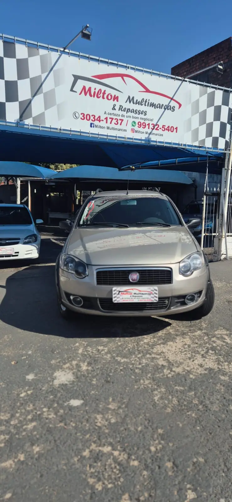 Fiat Palio Weekend Trekking 1.4 8V (Flex)