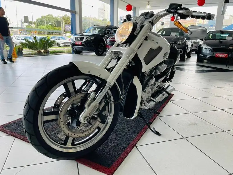 Harley-Davidson 1250cc MUSCLE VRSCF