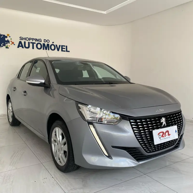 Peugeot Active 1.6 (Flex) (Aut)