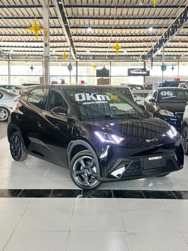 Carro BYD Dolphin Mini 2025 EV