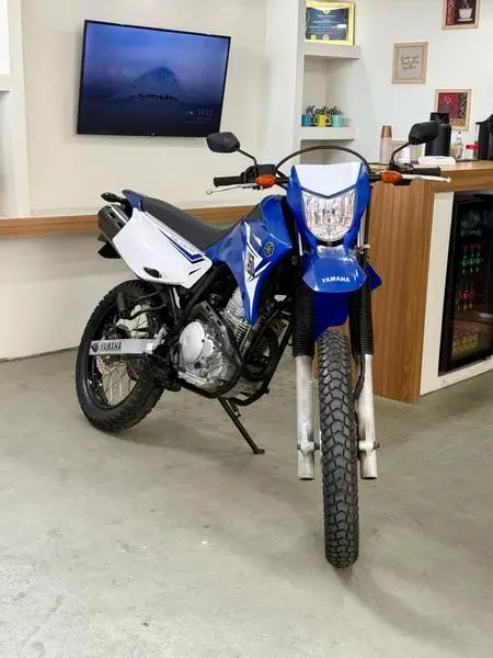 Carro Yamaha XTZ 250 Lander 2014 Blueflex