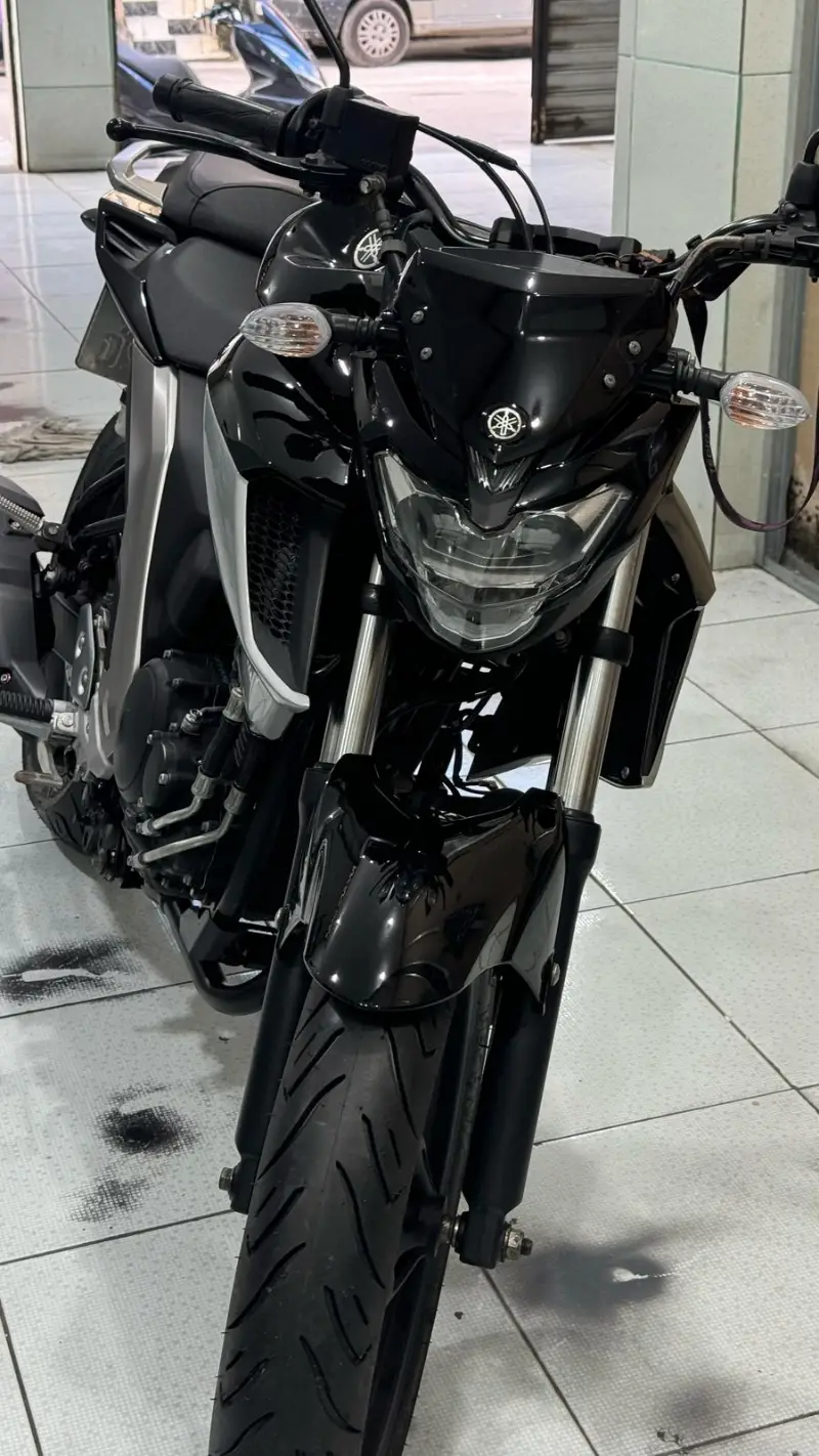 Yamaha Fazer FZ25 FZ25 250 FAZER FLEX