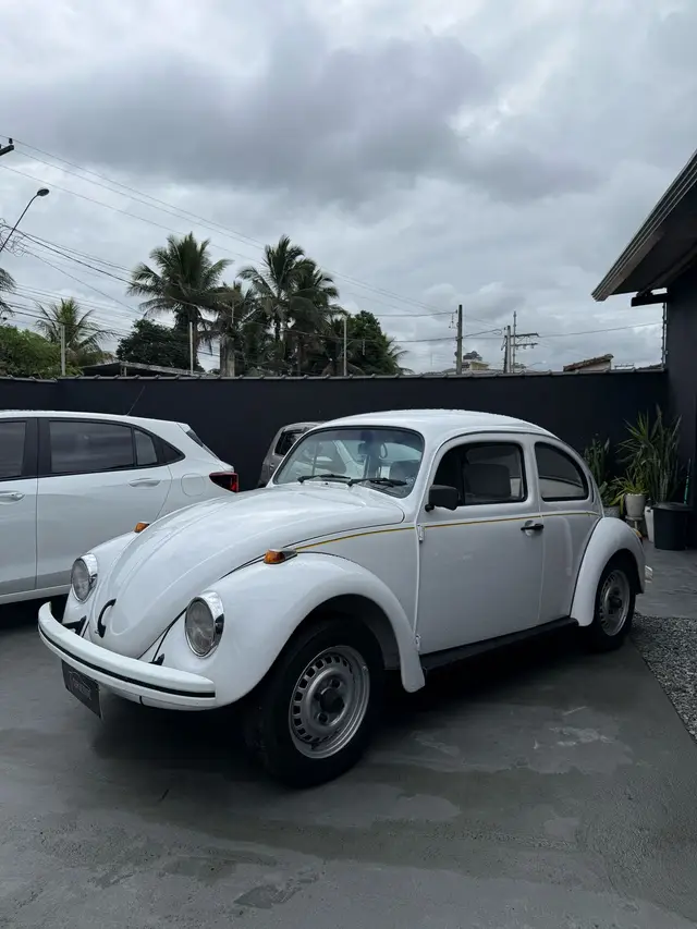 Carro Volkswagen Fusca 1995 1600