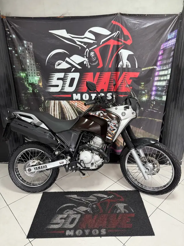 Carro Yamaha XTZ 250 Ténéré 2019 Blueflex