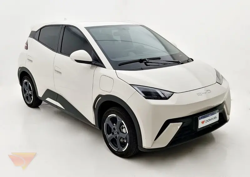 BYD Dolphin EV