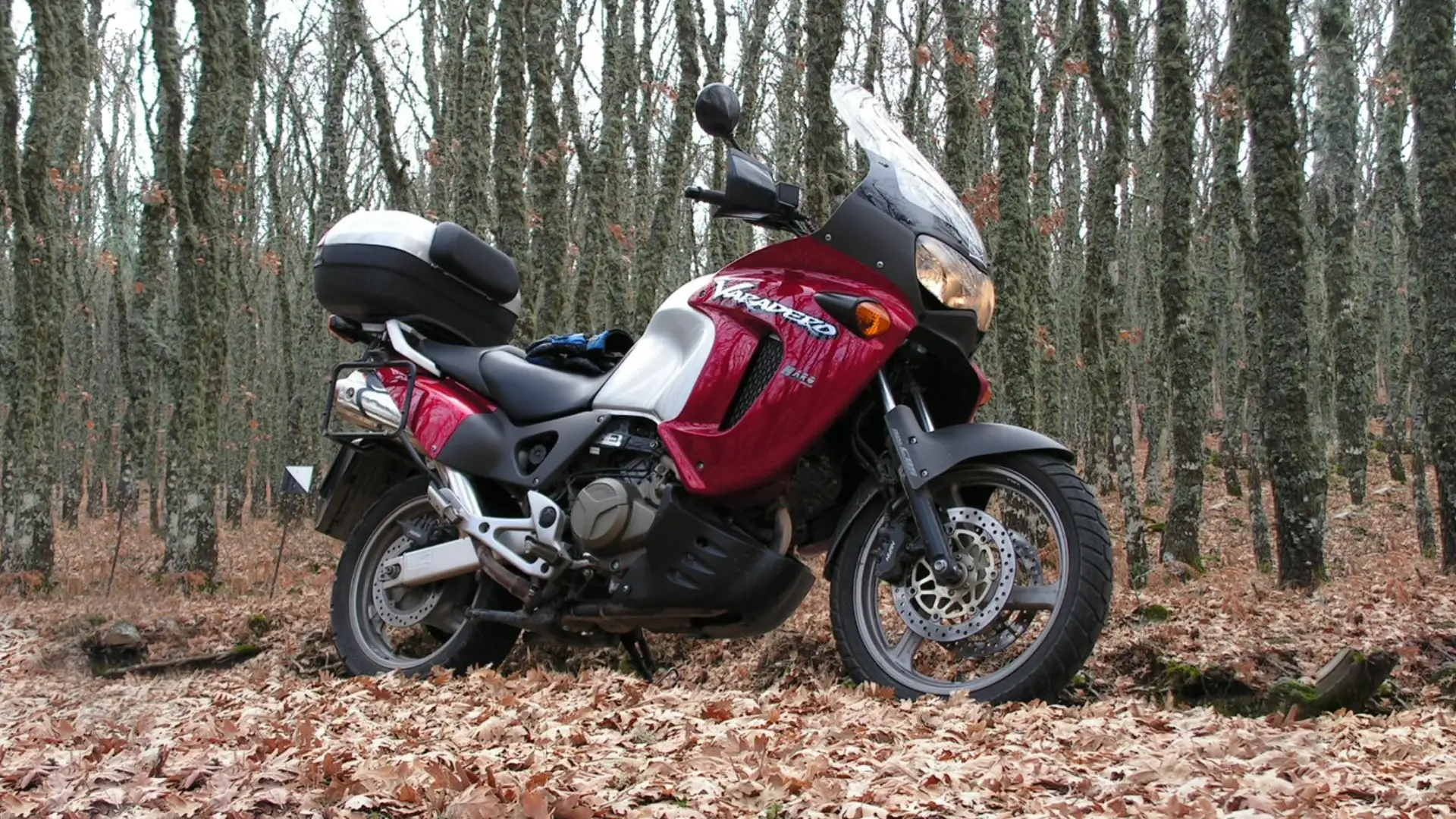Honda XL 1000
