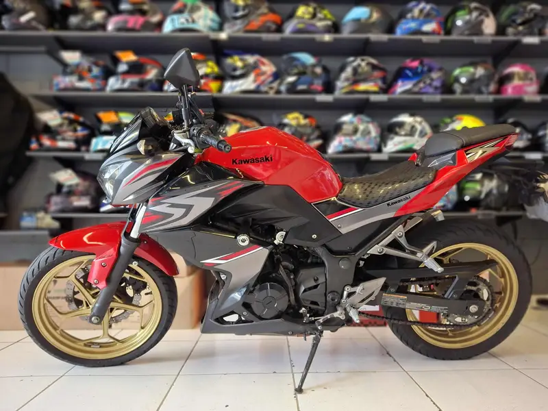 Kawasaki Z 300 (ABS)