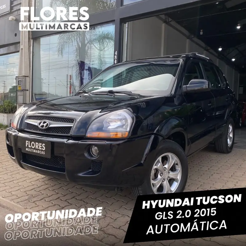 Hyundai Tucson GLS 2.0L 16v (Flex) (Aut)