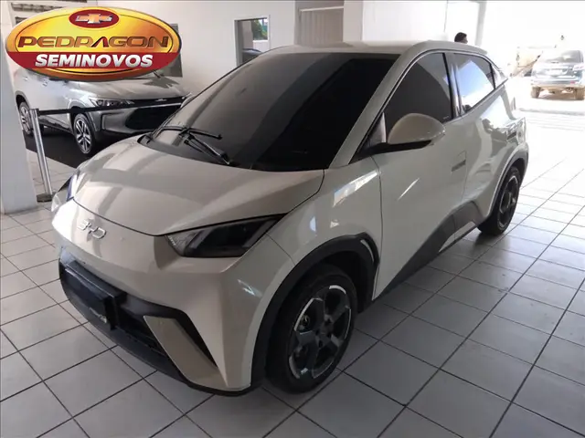 Carro BYD Dolphin Mini 2025 Elétrico