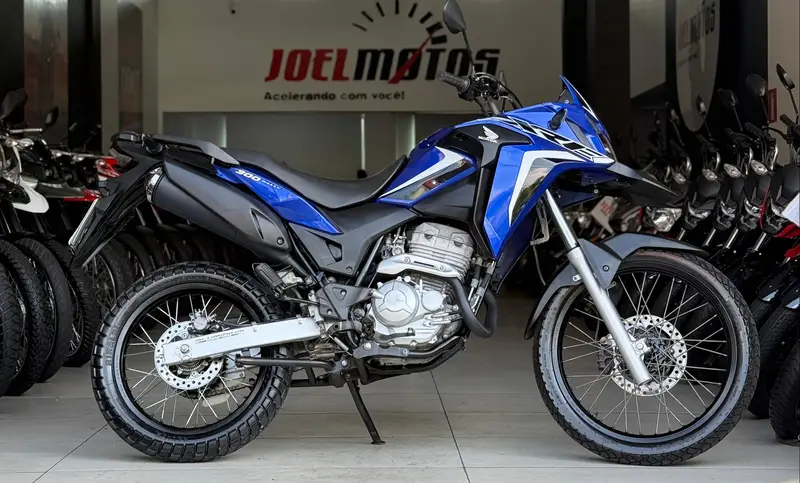 Honda XRE 300 (ABS) (Flex)