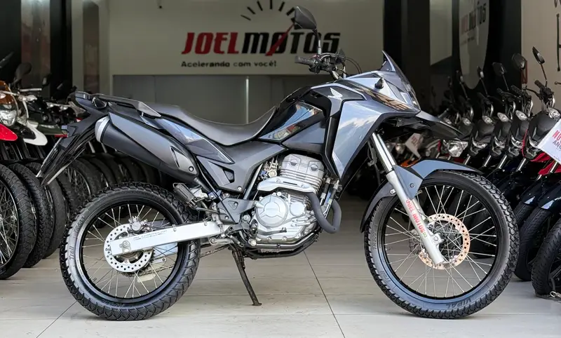 Honda XRE 300 (ABS) (Flex)