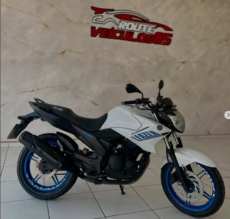 Yamaha YS 250 Fazer Blueflex