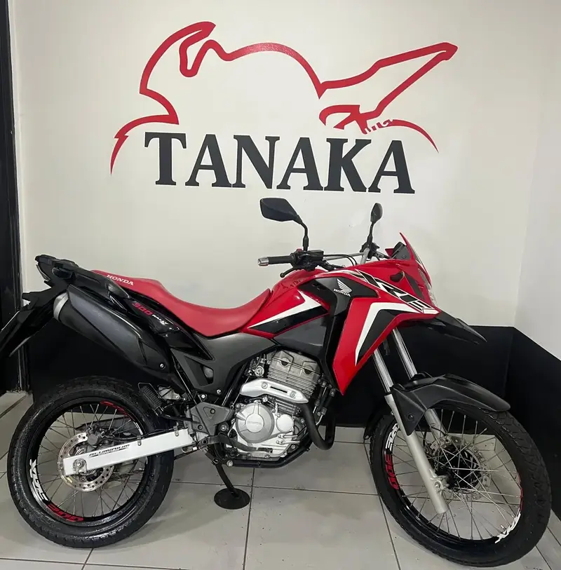 Honda XRE 300 Rally (Flex)