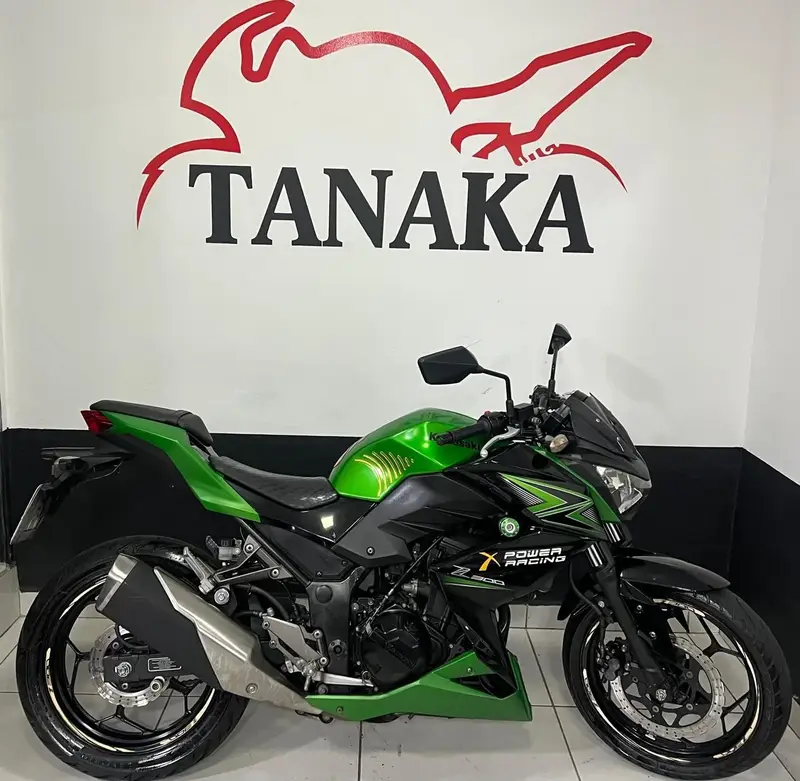 Kawasaki Z 300 Z 300