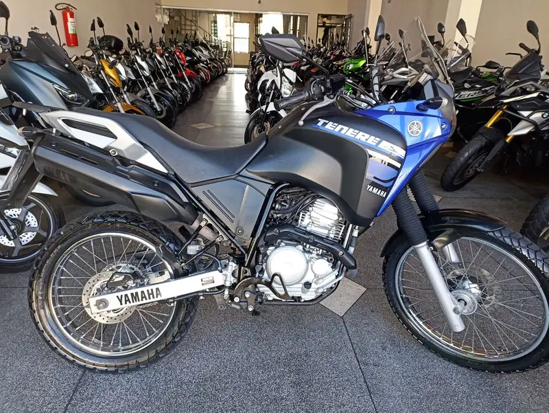Yamaha XTZ 250 Ténéré Blueflex