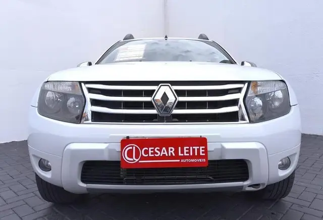 Carro Renault Duster 2014 1.6 16V Tech Road (Flex)