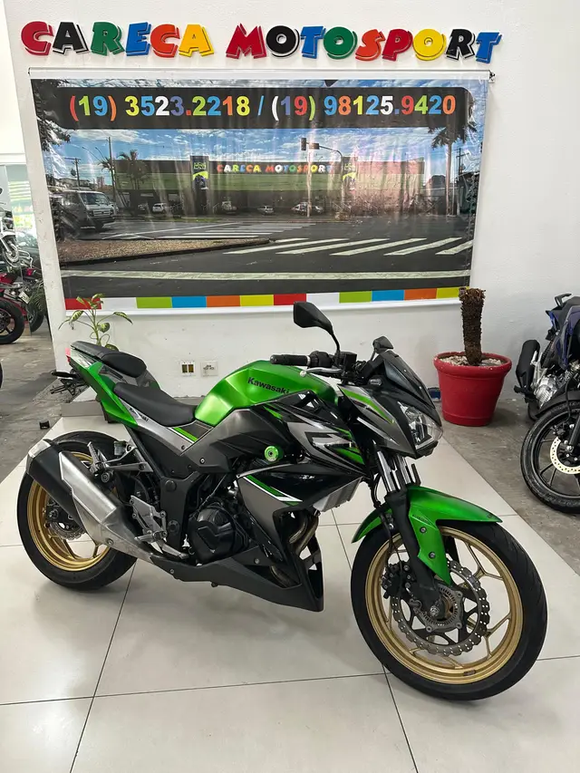 Moto Kawasaki Z 300 2018 (ABS)
