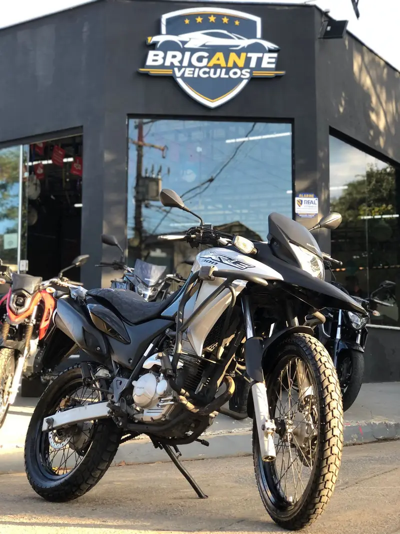Honda XRE 300 (ABS) (Flex)