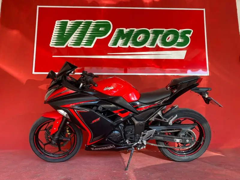 Kawasaki Ninja 300 (ABS)