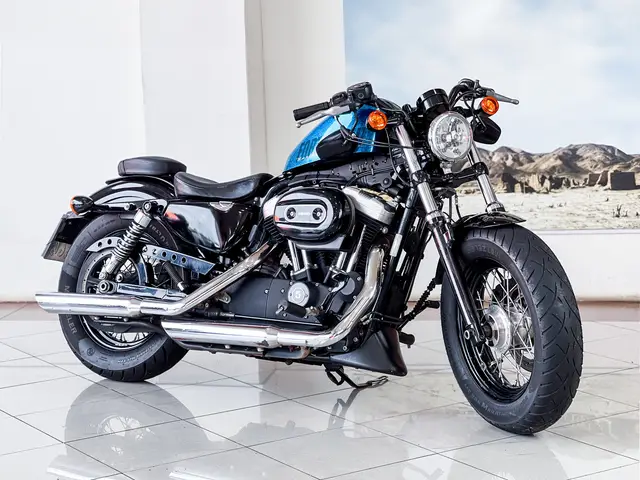 Carro Harley-Davidson XL 1200 2015 X Forty Eight Sportster