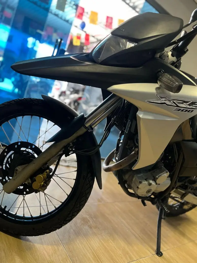 Honda XRE 300 (ABS) (Flex)