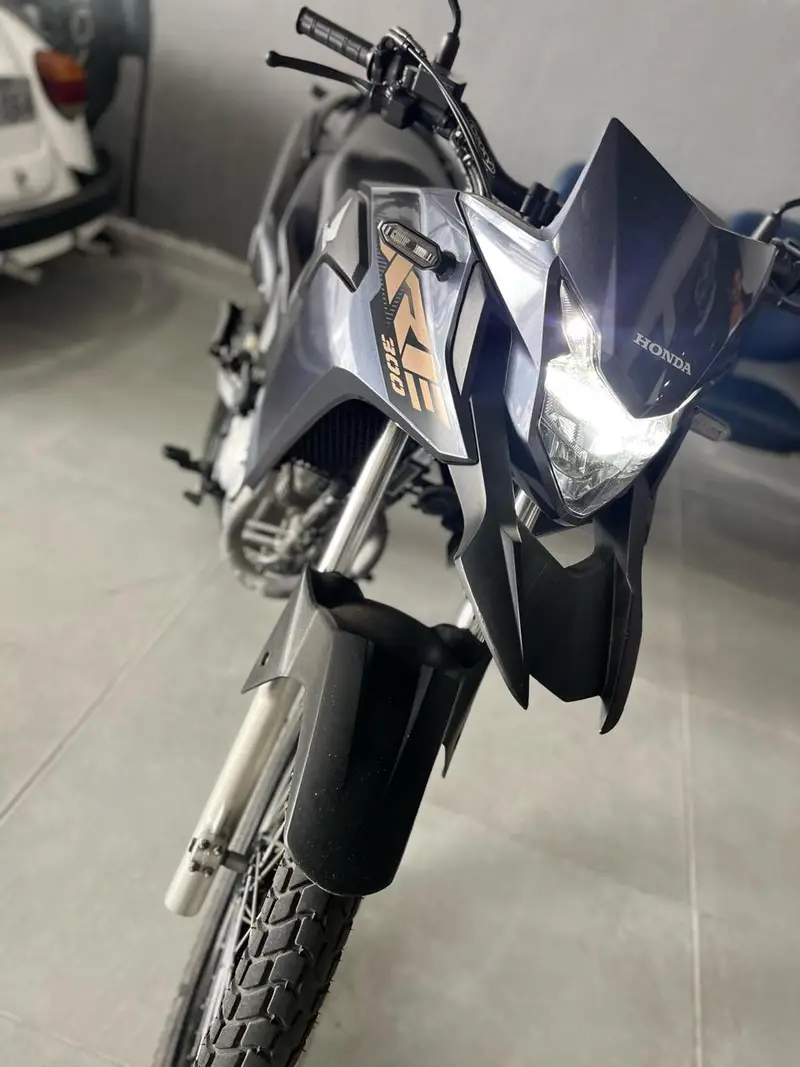 Honda XRE 300 (ABS) (Flex)