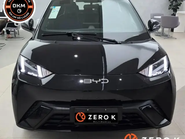 Carro BYD Dolphin Mini 2025 Elétrico