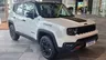 Jeep Renegade 10 Anos chega por R$ 185.990; veja os detalhes em 60 fotos