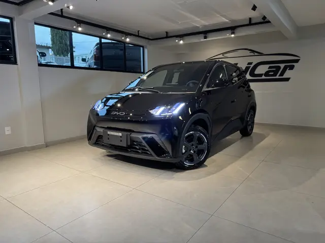 Carro BYD Dolphin Mini 2025 EV
