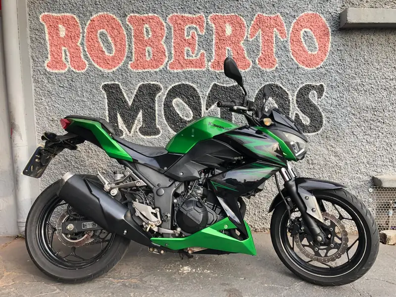 Kawasaki Z 300 Z 300