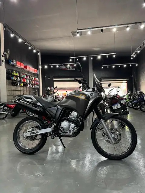 Carro Yamaha XTZ 250 Ténéré 2016 Blueflex